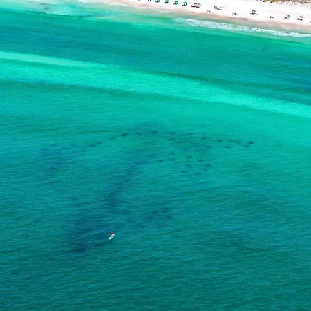 Villa Gulf Winds East #47 Destin Esterno foto